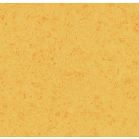 Deal Detail