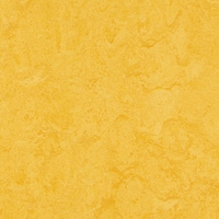 Deal Detail