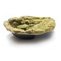 ProRep Jungle Rock Pool