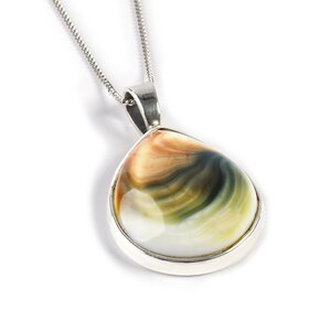 Natural Shiva Eye Shell Necklace Natural Designer Gemstone 16 40cm