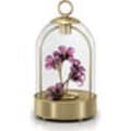Click to view product details and reviews for Swarovski Garden Tales Hibiscus Led Lantern 5619240.