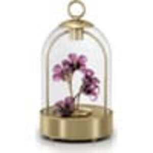 Swarovski Garden Tales Hibiscus Led Lantern 5619240