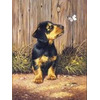 Painting By Numbers Kit Regular - Dachshund Puppy Pjs51