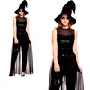 Adult Sexy Wicked Witch Halloween Fancy Dress Costume (M)