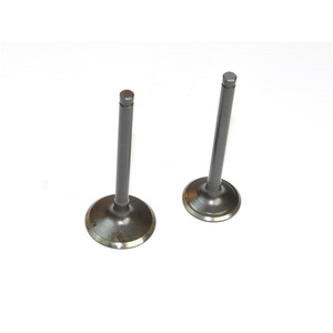 Pit Bike Valves Yx140 Engine Valves