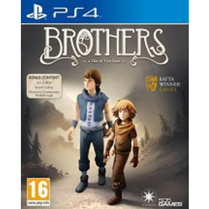 Brothers A Tale Of Two Sons
