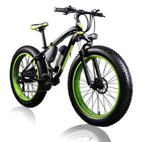 Electric Fat Bike 36V 350W Lithium Green