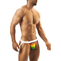 Joe Snyder Rainbow JockStrap 16