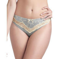 Fauve Bronte Brief