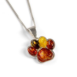 Paw Print Charm Necklace In Silver And Amber 16 40cm