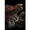 Hawks Copper Regular Size Engraving Art Scraperfoil