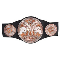 Wwe Tag Team Championship Belt