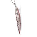 Click to view product details and reviews for Handpainted Pheasant Bird Feather Necklace In Silver 16 42cm.