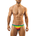 Joe Snyder Rainbow Bikini 01