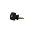 Click to view product details and reviews for Hayter Key Electric Start Removable 111 3172.