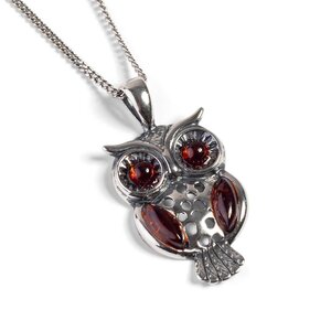 Wise Owl Necklace In Silver And Amber 16 42cm