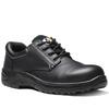 Click to view product details and reviews for V12 Tiger Safety Shoes.