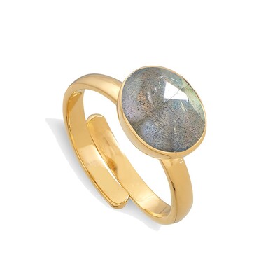 Atomic Midi Adjustable Ring - Labradorite & Gold