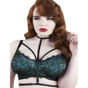 Playful Promises Irena Satin and Lace Full Bust Bra
