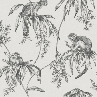 Sublime Saimiri Anthracite Monkey Wallpaper Graham and Brown 106157