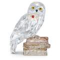 Click to view product details and reviews for Swarovski Harry Potter Hedwig 5585969.