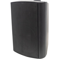 100 Volt Background Speaker (Pair) - 4" Black