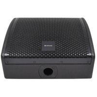 10"  Wedge Monitor Passive 250 Watts RMS 8 Ohm