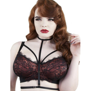 Playful Promises Irena Underwired Satin And Lace Fuller Bust Bra With Harness