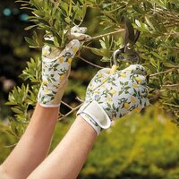Sicilian Lemon Smart Gloves