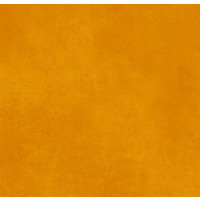 Deal Detail