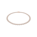 Click to view product details and reviews for Swarovski Angelic Necklace Round Cut White Rose Gold Tone Plated 5367845.