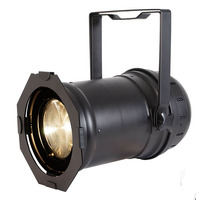 LED Stage Par Can 200W Cool and Warm White