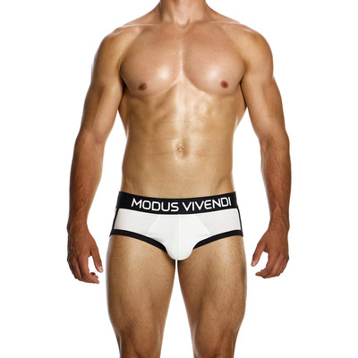 Click to view product details and reviews for Modus Vivendi Sporty Classic Cotton Brief.