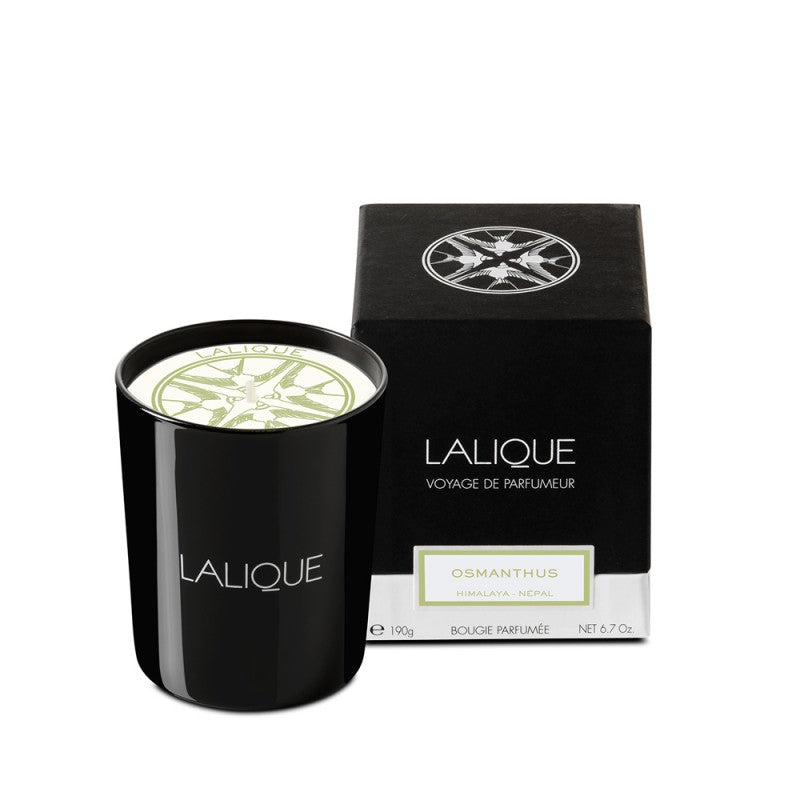 Rackhams Osmanthus Himalaya Nepal Candle 190G - Image 12
