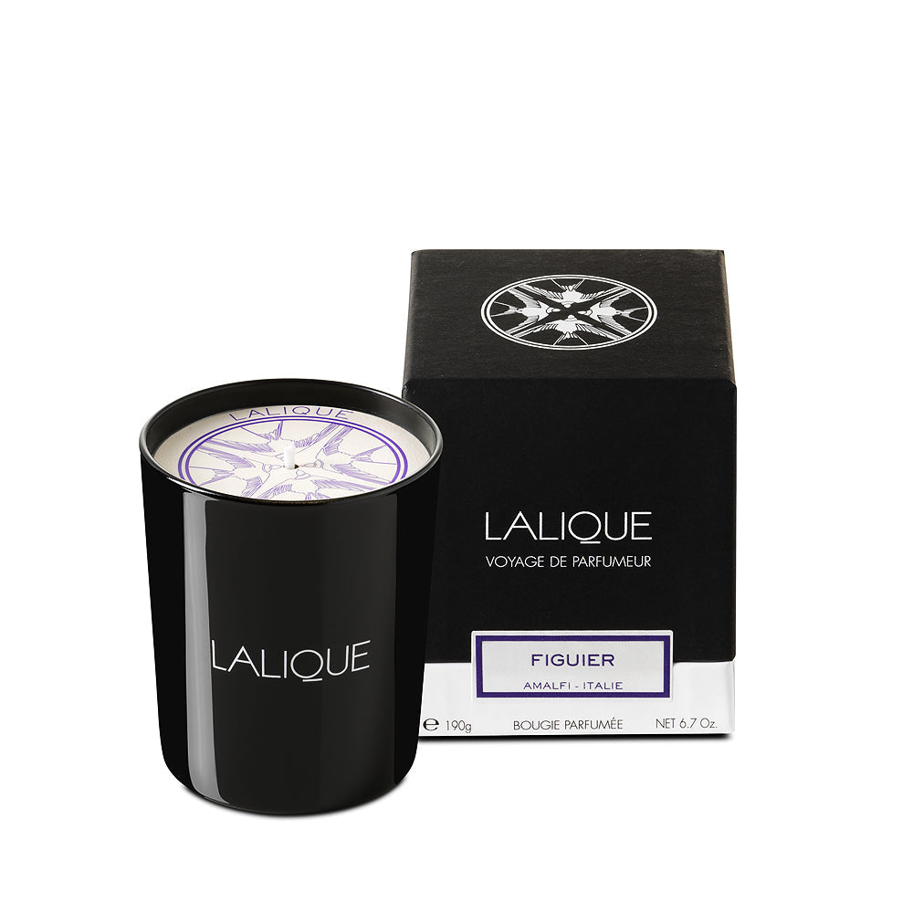 Lalique Candle 190g - Figuier Amalfi - Image 11
