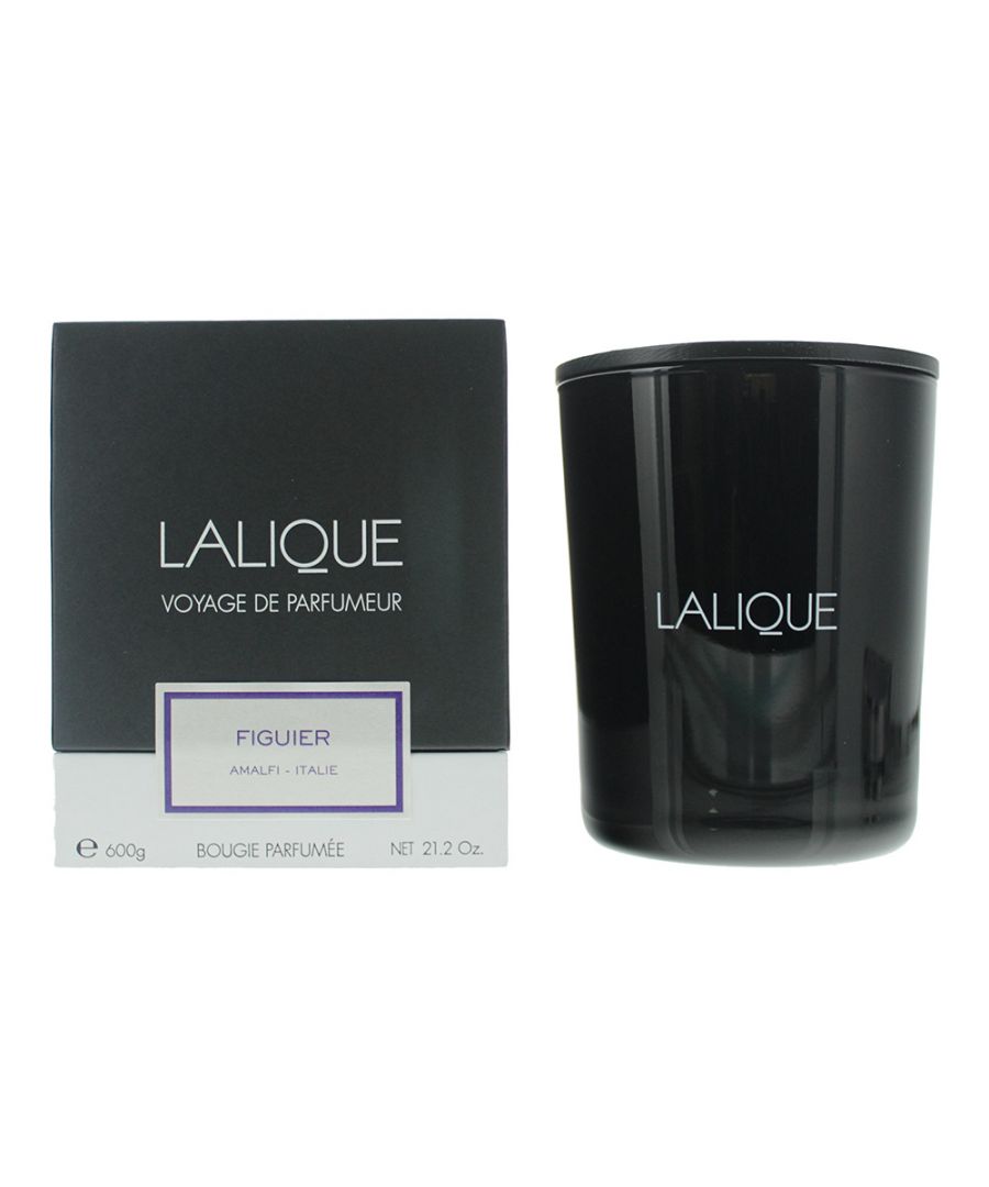 Lalique Figuier Amalfi Candle 600G - Image 11