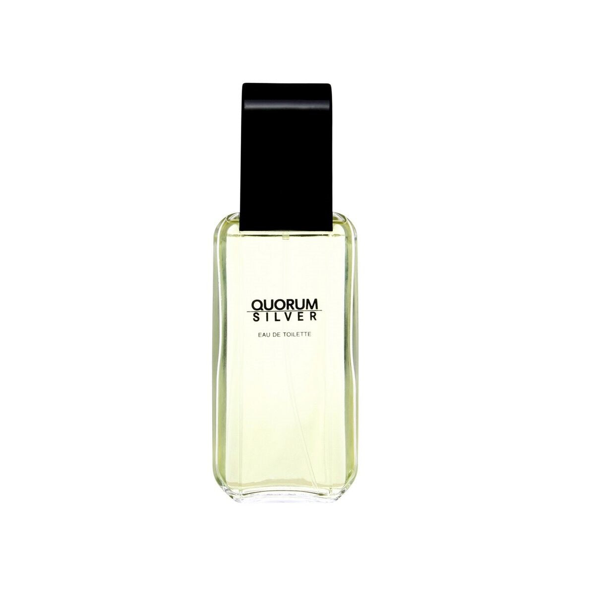 Antonio Puig Silver Quorum Eau De Toilette 100Ml Spray