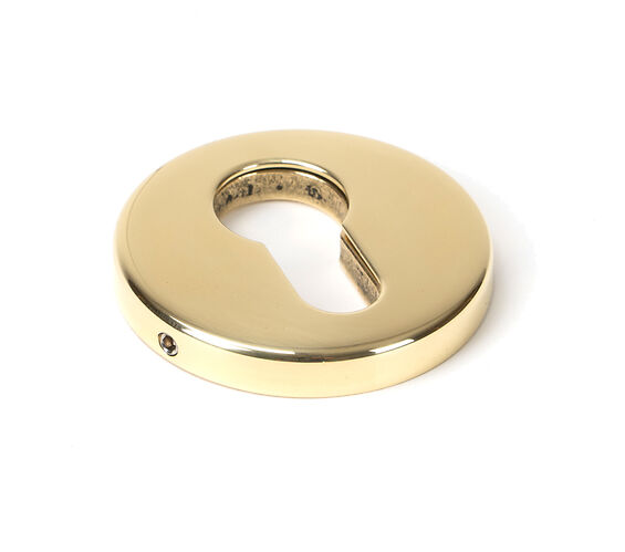 Door Handle Company From The Anvil Regency Round Euro Profile Concealed Escutcheon, Polished Brass - 46551 Polished Brass