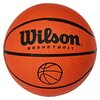 Image of Wilson Micro Basketball