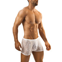 Joe Snyder Lacy Boxer 08