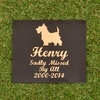 Image of Granite Pet Memorial Plaque - Large