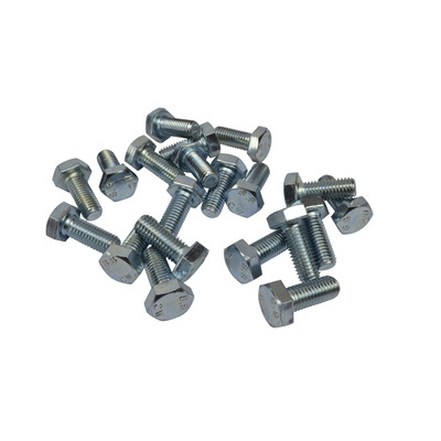 M10 Bolt 25mm Long Pack of 20