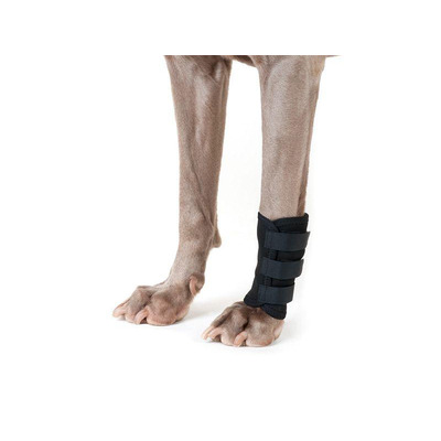 Back on Track® Canine / Dog Shin / Leg Wraps - Black Small