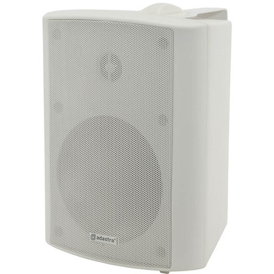 100 Volt Background Speaker 5.25" White