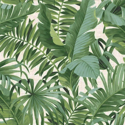 A-Street Prints Solstice Palm Leaf Wallpaper Green Fine Decor FD24136

