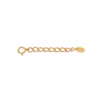 Image of 2" Chain Extender - Gold