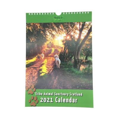 Tribe Animal Sanctuary Scotland - TASS 2021 Calendar