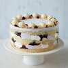 Blueberry Lemon  Birthday Cheesecake - Large