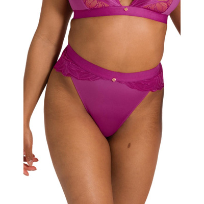 scantilly by curvy kate indulgence high waist brief