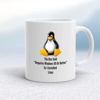 The Box Said Requires Windows 95 So I Installed Linux Mug – White, 10oz